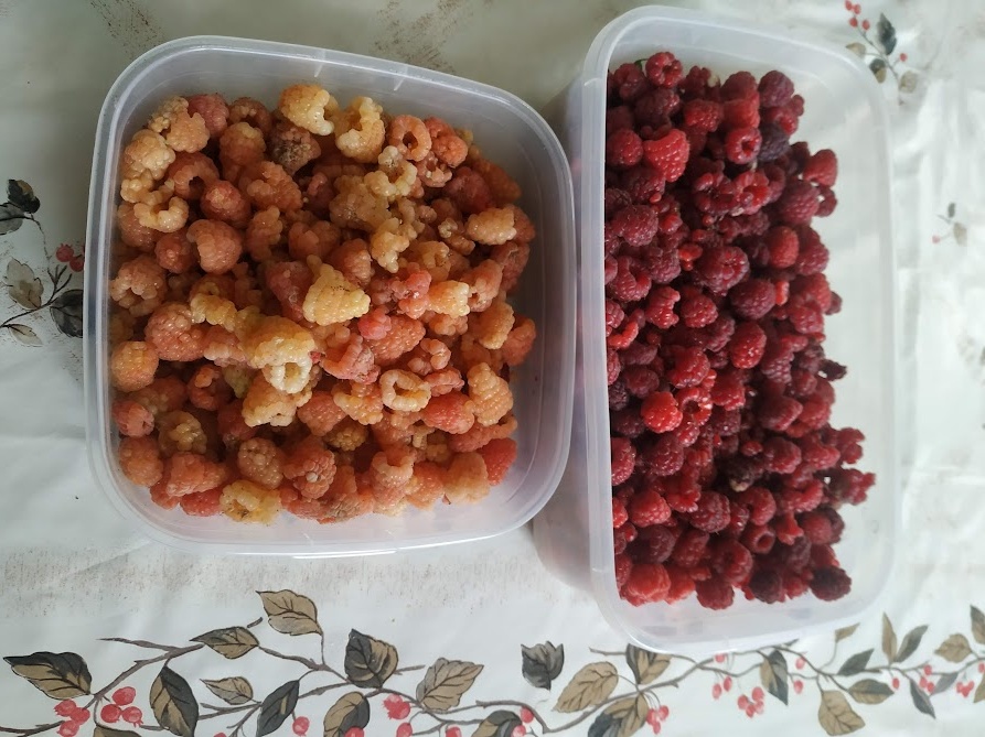 Фото Натальи Мироновой