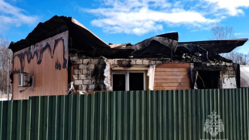     Кошка спасла пенсионеров от пожара. МЧС России