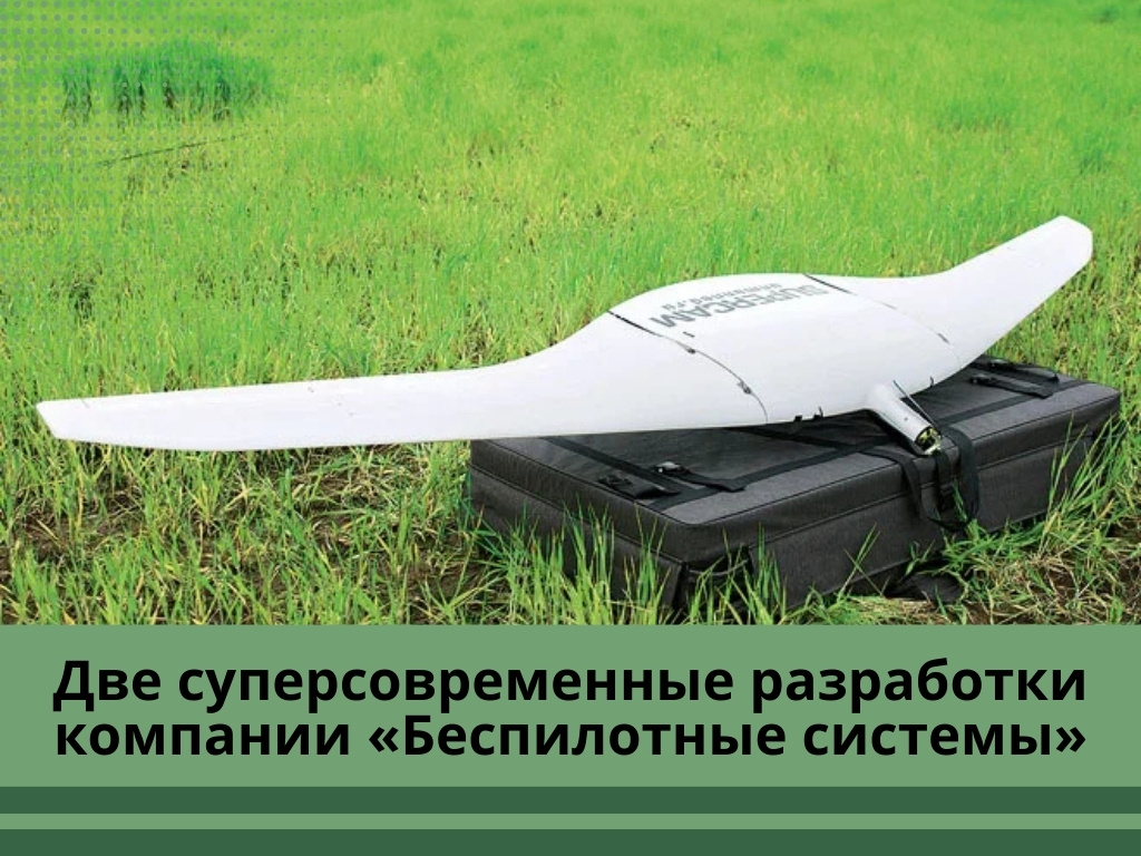 Фото: yandex.net