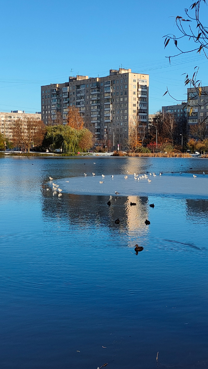 Фото автора 