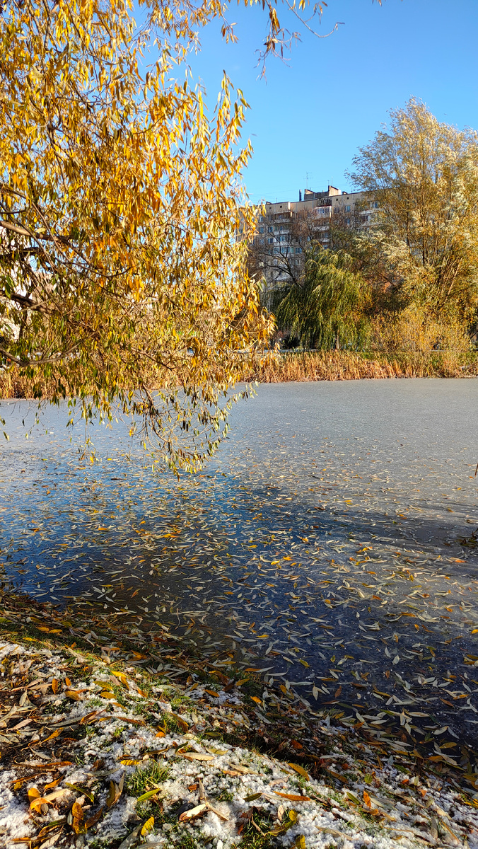 Фото автора 