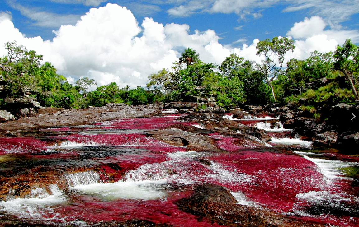 Источник фото: timesofindia.indiatimes.com