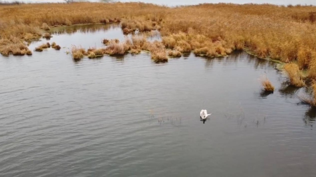 Госохотдепартамент Тюменской области📷
