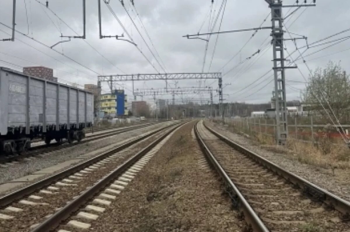    Пассажирский поезд насмерть сбил мужчину у воронежской станции «Отрожка»