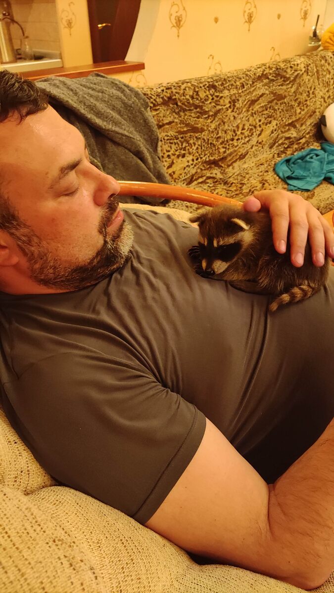 20 апреля 2022, первая ночь дома