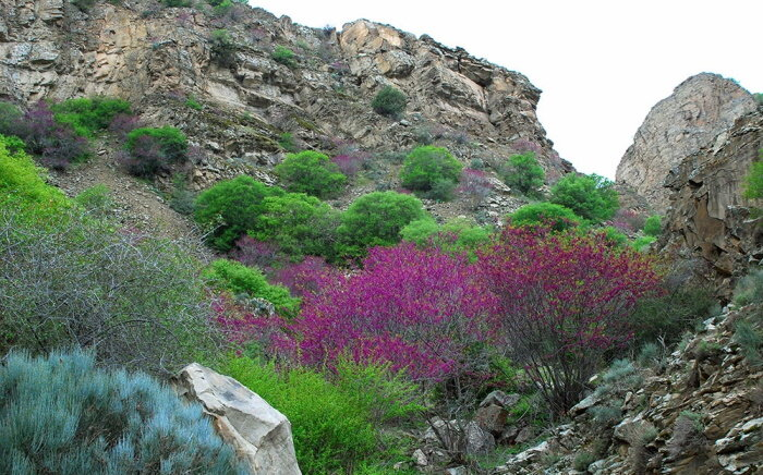 Источник фото: turkmenistan.gov.tm