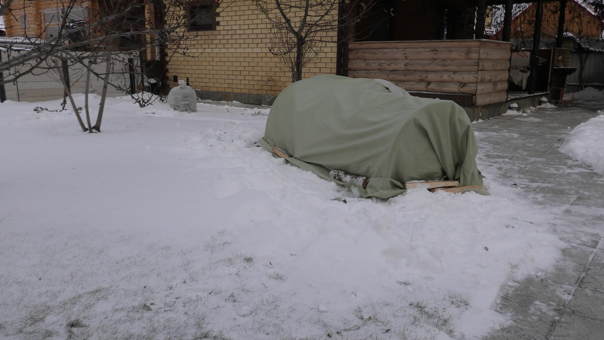 Розарий под укрытием