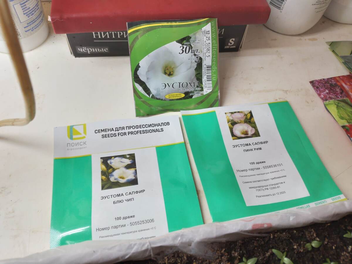 Вот такие семена сеяли