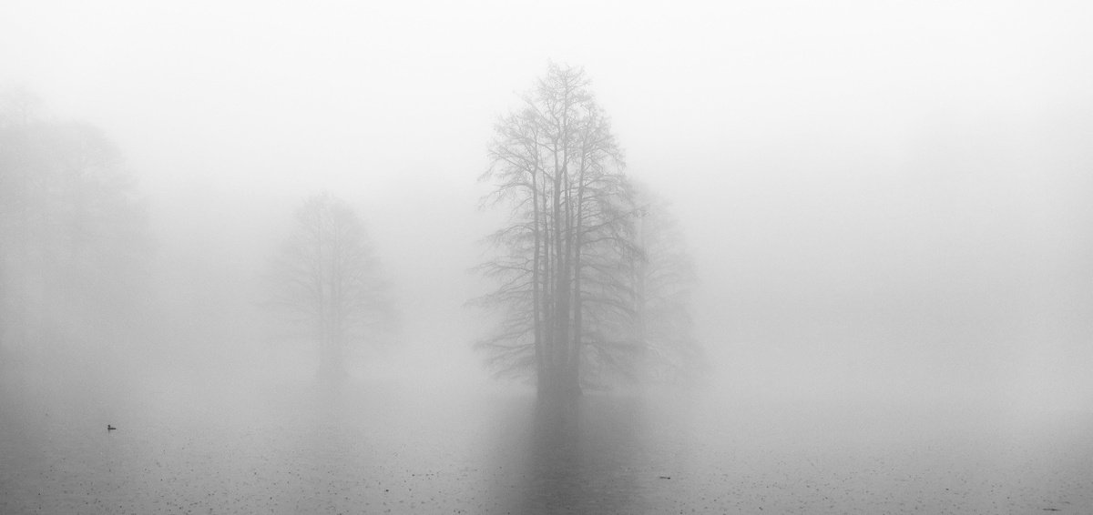 Взято из свободного доступа с целью иллюстрации.