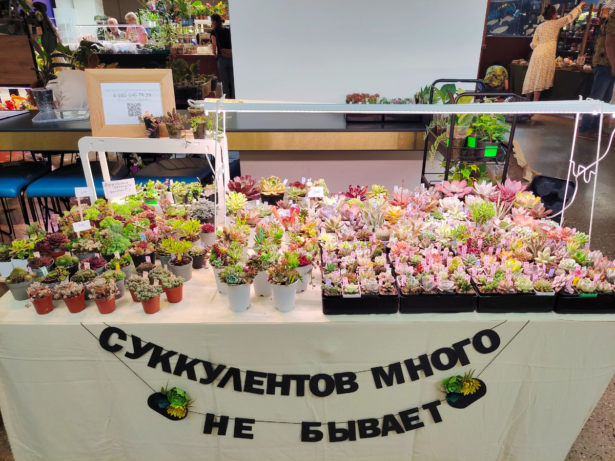 Один из моих столов на одном из маркетов этим лет