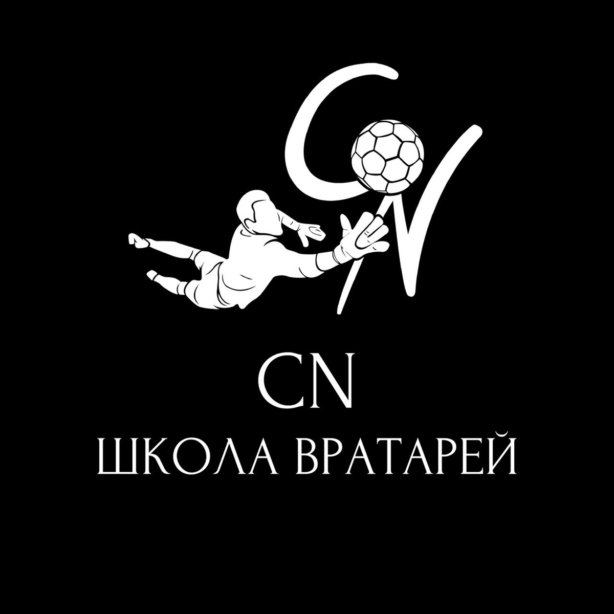 Логотип Вратарской Школы CN