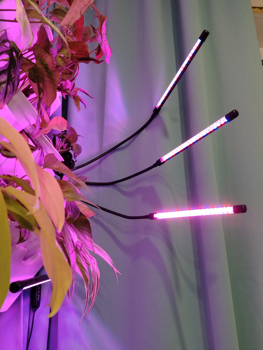 Лампа, 4 ветки по 10Вт с таймером. 