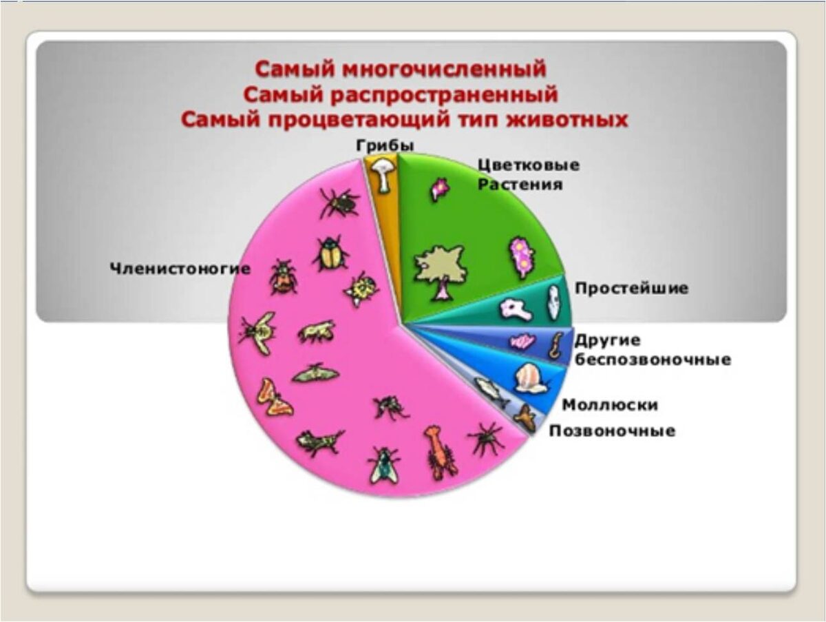 Классификация деятельности обществознание. Толпа людей схематично. Принципы устойчивого развития. Деятельности многочисленны и они. Деятельности многочисленны и они.