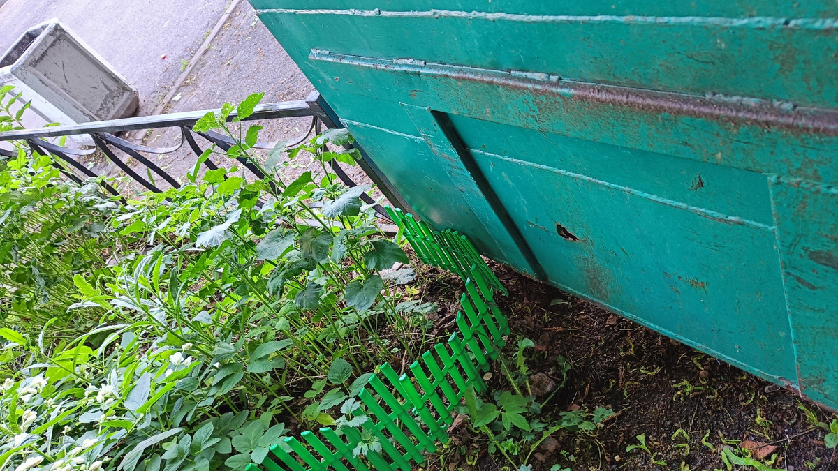 Контейнер, поставленный дворниками на газон впритык к пластиковому заборчику. Фото моё.