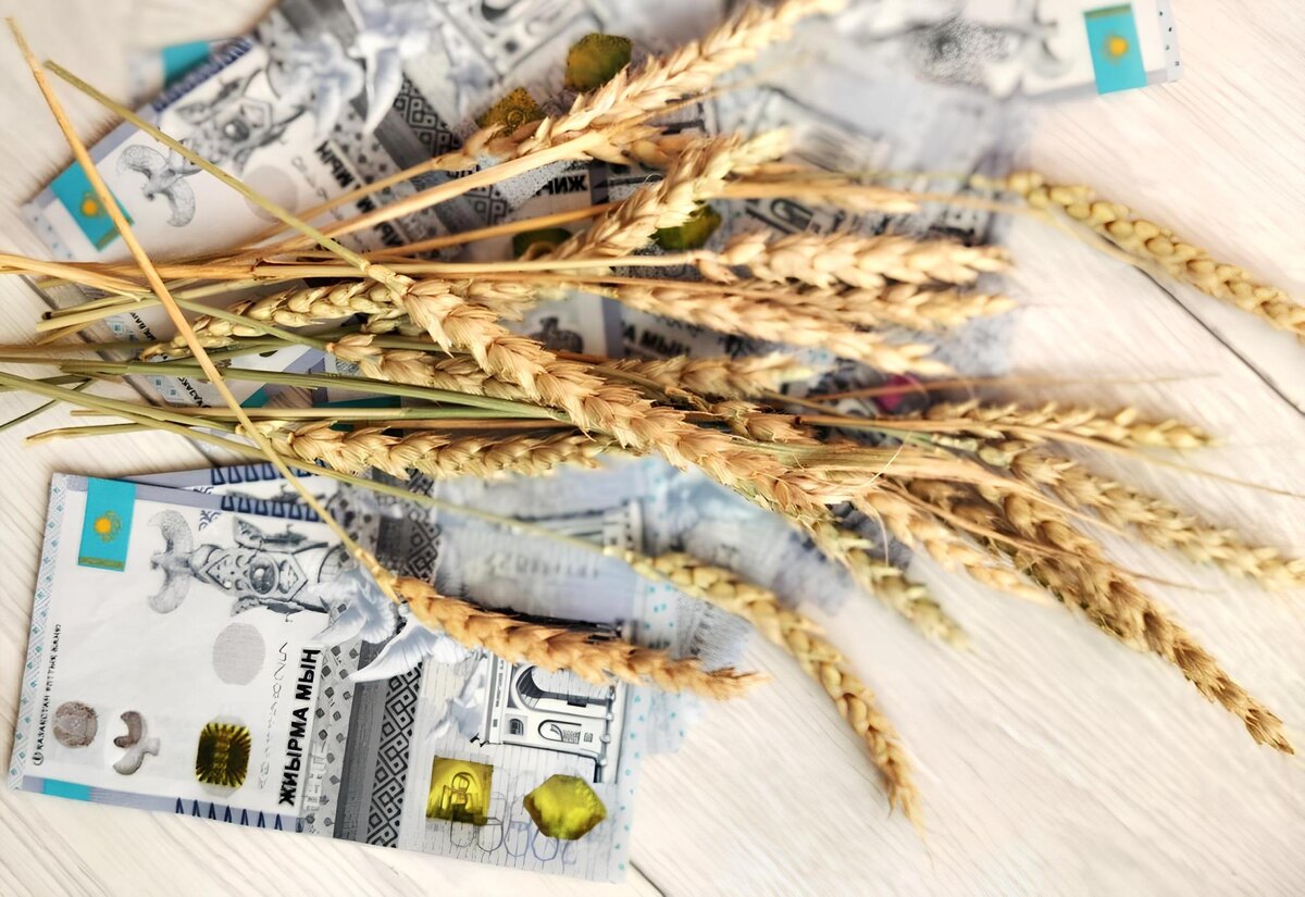 Фото: АПК Новости