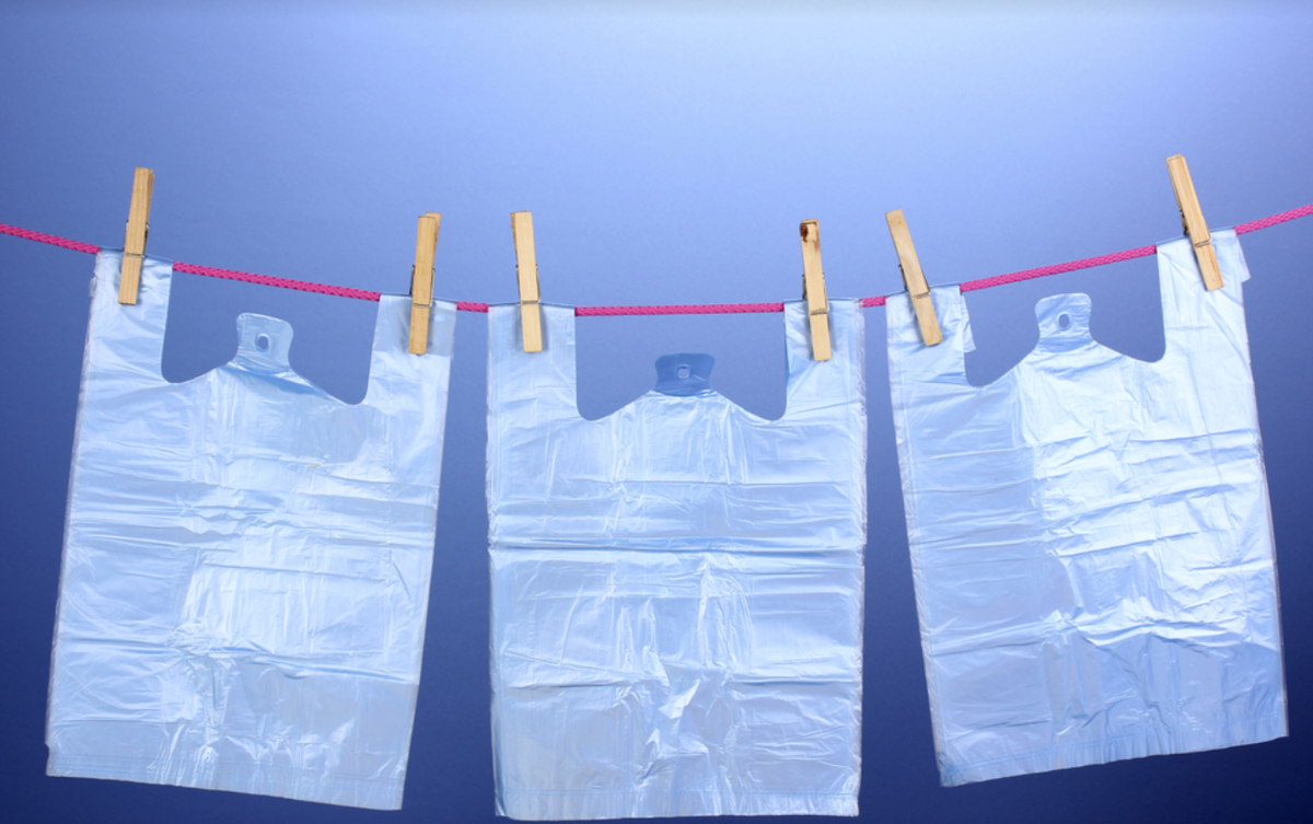 Фото © Shutterstock Сайт: https://life.ru/p/1501730