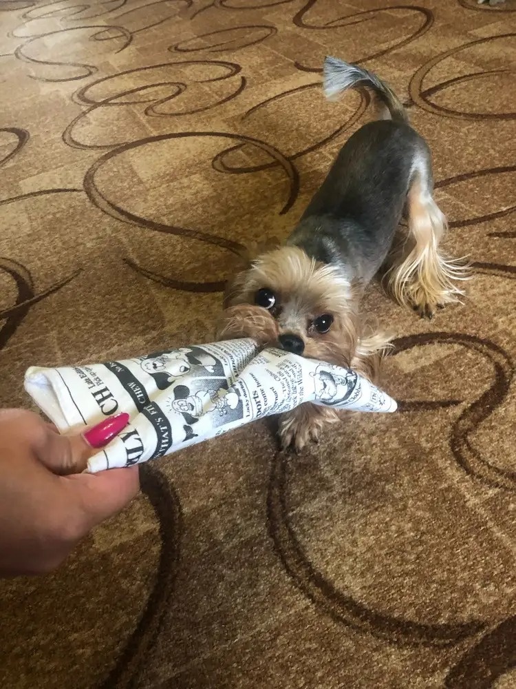 игрушка Газета с шуршанием и пищанием сделана из текстиля. Артикул WB 43452952