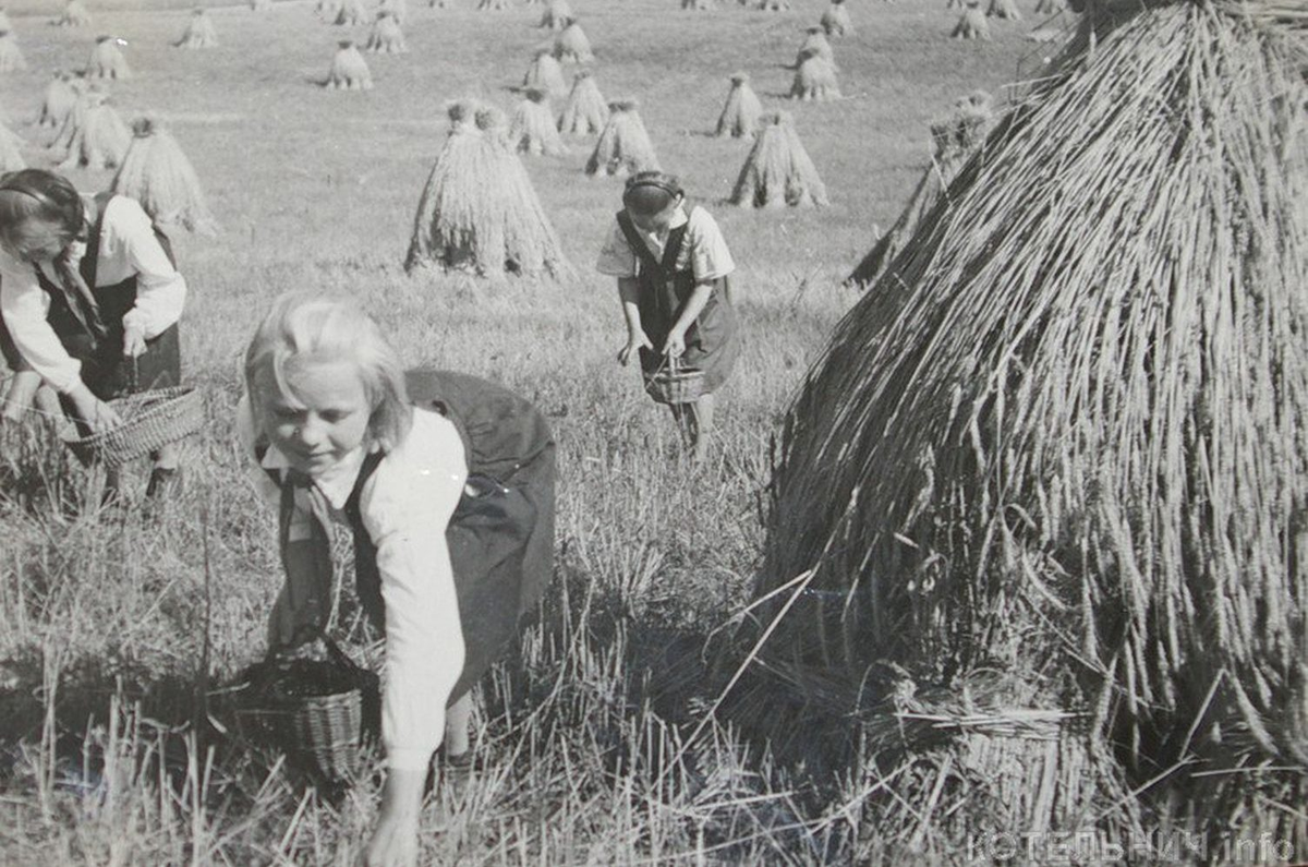 Дети работают в поле