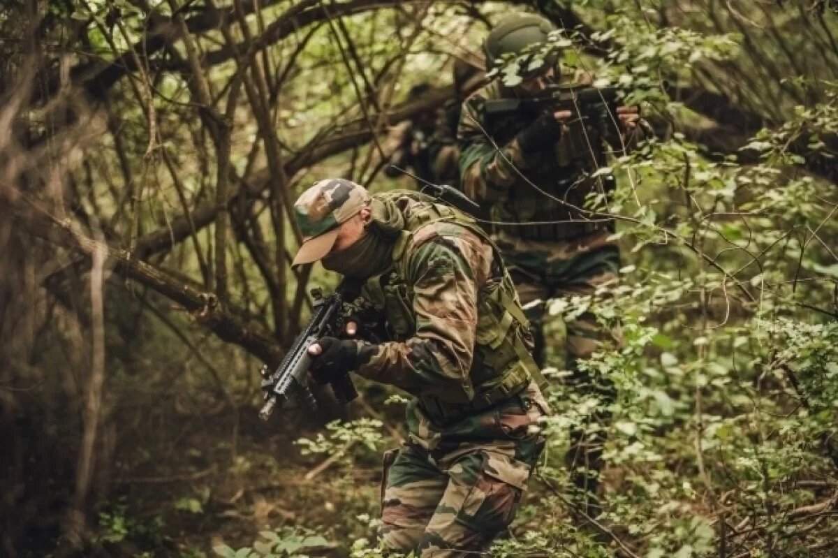    ВС РФ предотвратили попытку прорыва ВСУ через госграницу в Курской области