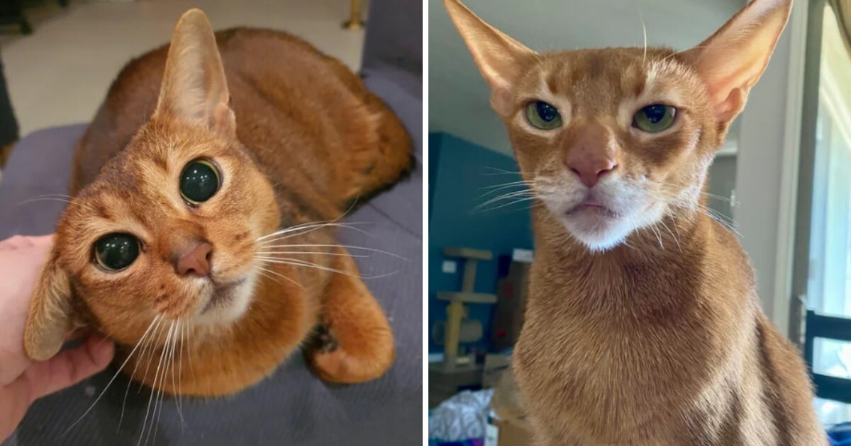 kelliebajellie / ThruTheUniverseAgain