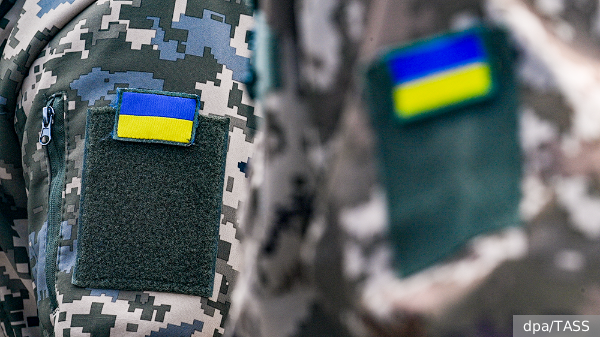     Фото: dpa/TASS   
 Текст: Дмитрий Зубарев