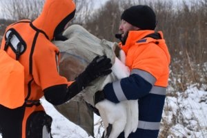    Фото: Марийская аварийно-спасательная служба