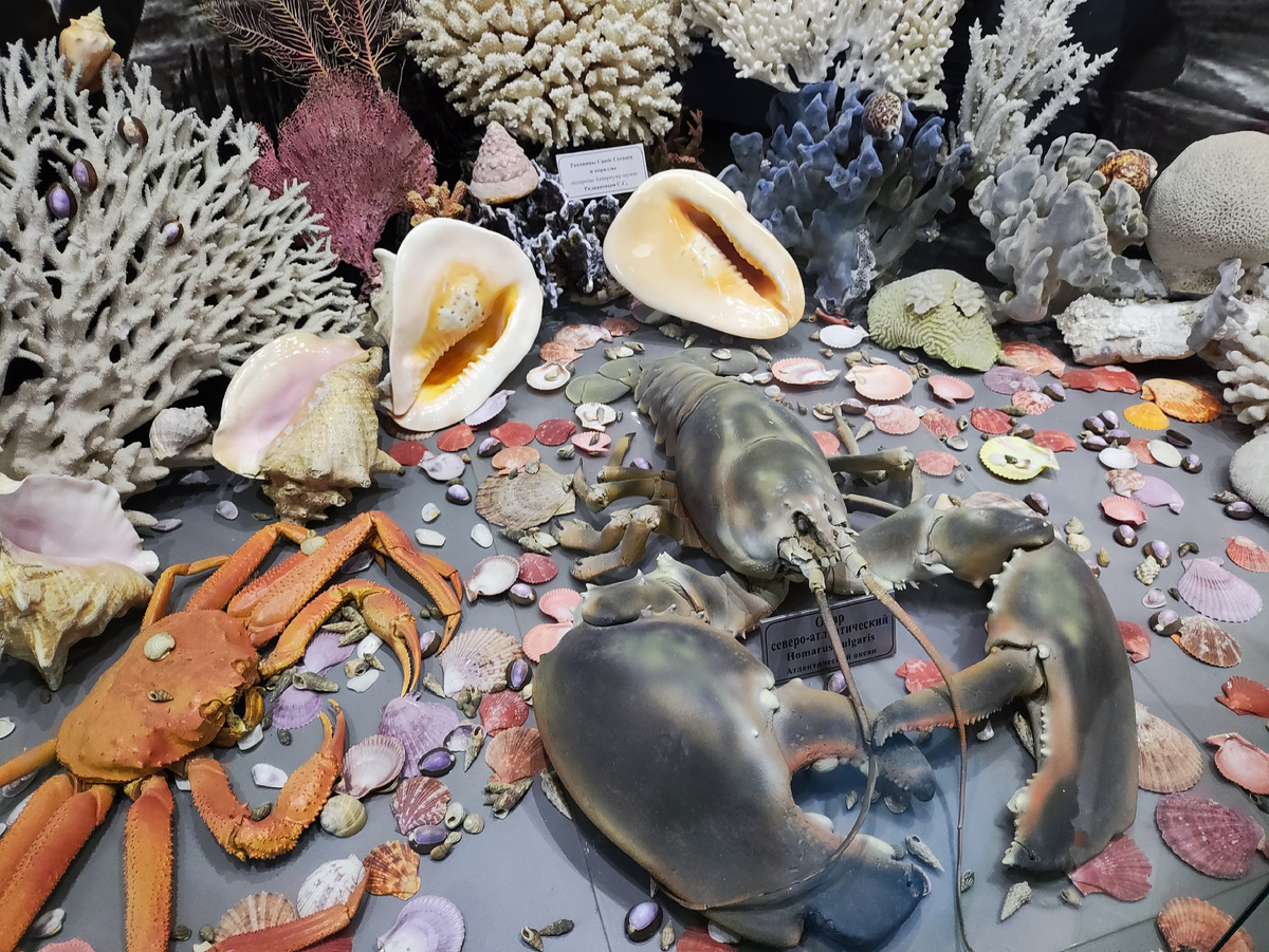 Каждую витрину хочется рассматривать долго и подробно