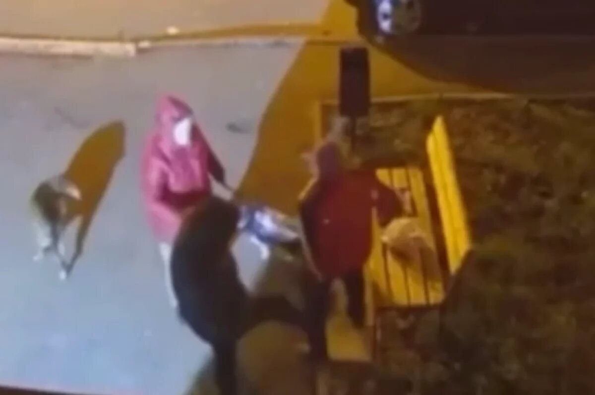    Mash: под Москвой ищут мужчину, напавшего на бабушку из-за бездомных собак