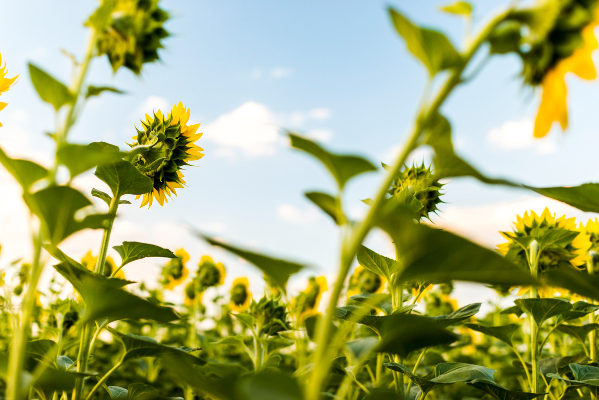 Создано www.freepik.com