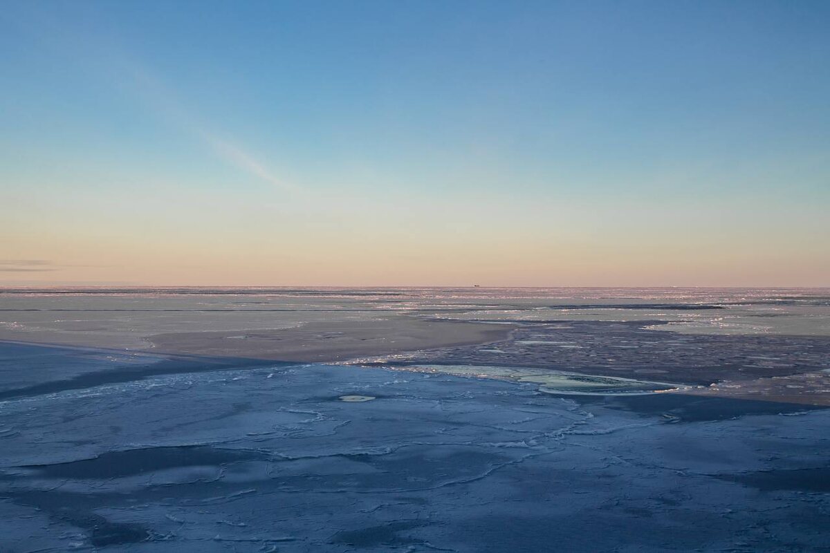    Фото: пресс-служба ФТ «Сириус»