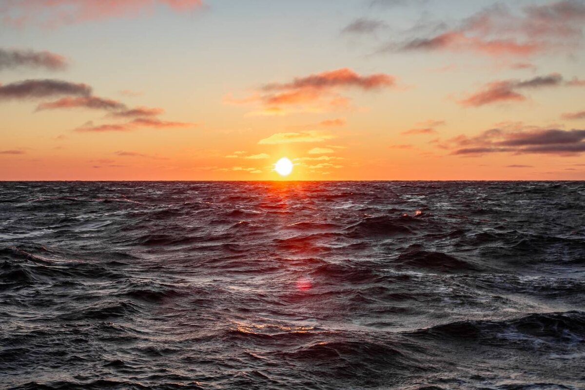    Фото: пресс-служба ФТ «Сириус»