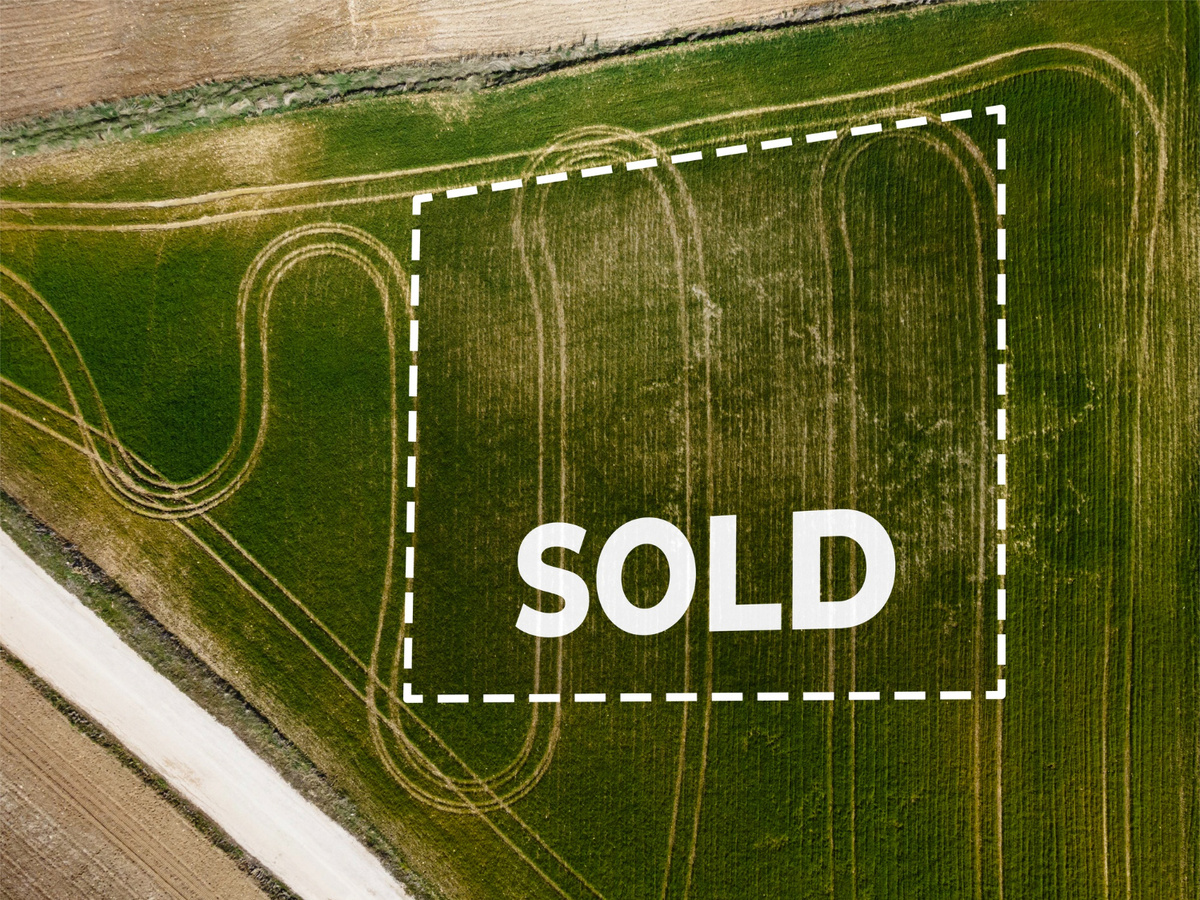 Создано www.freepik.com