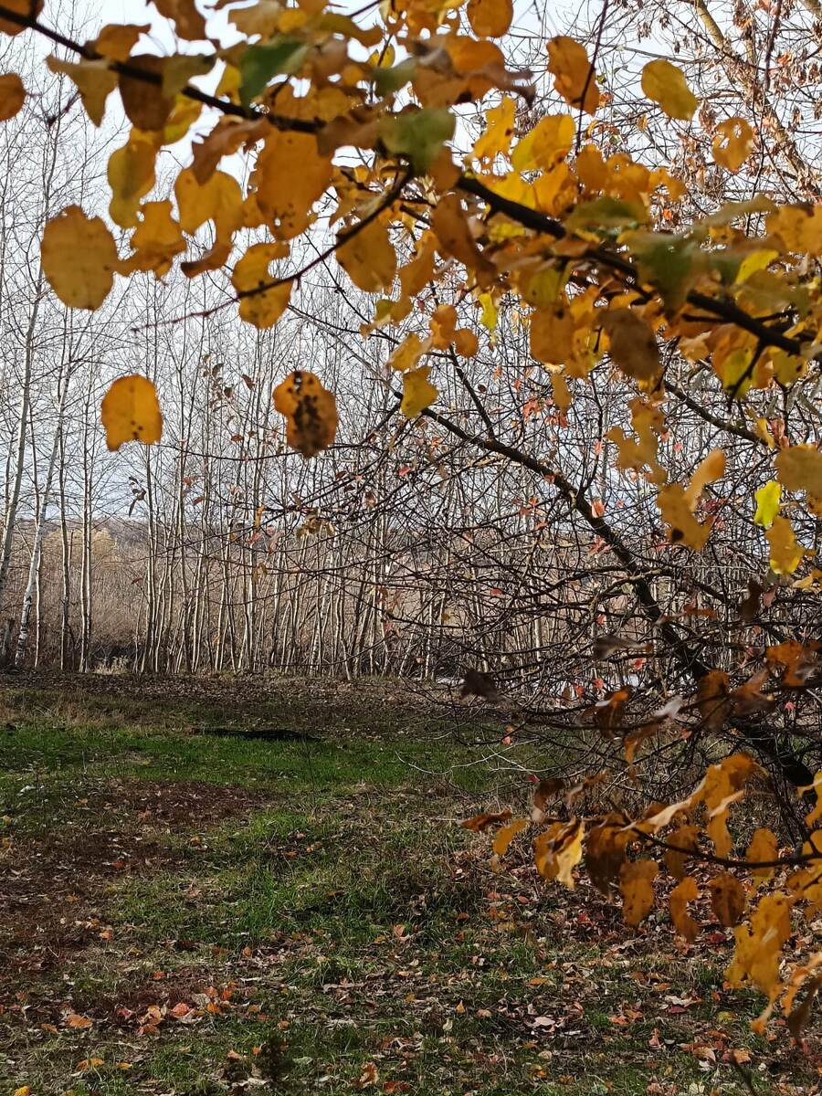 Фото Натальи Калантаевской