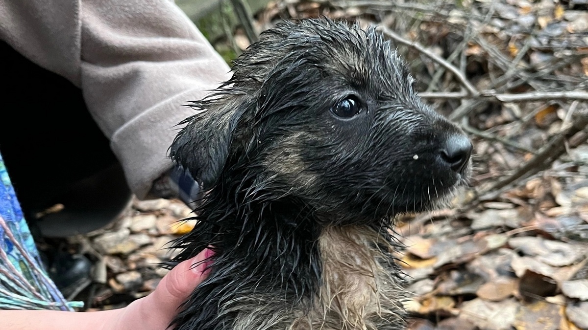 Фото: vk.com/salusryazgmu62