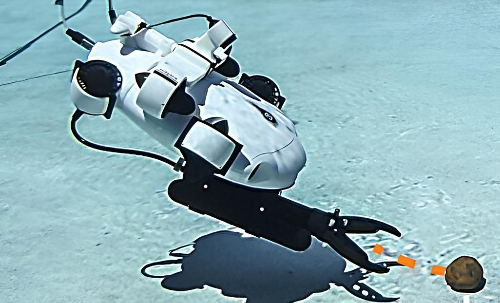 Фото: Ruoshi Liu et al