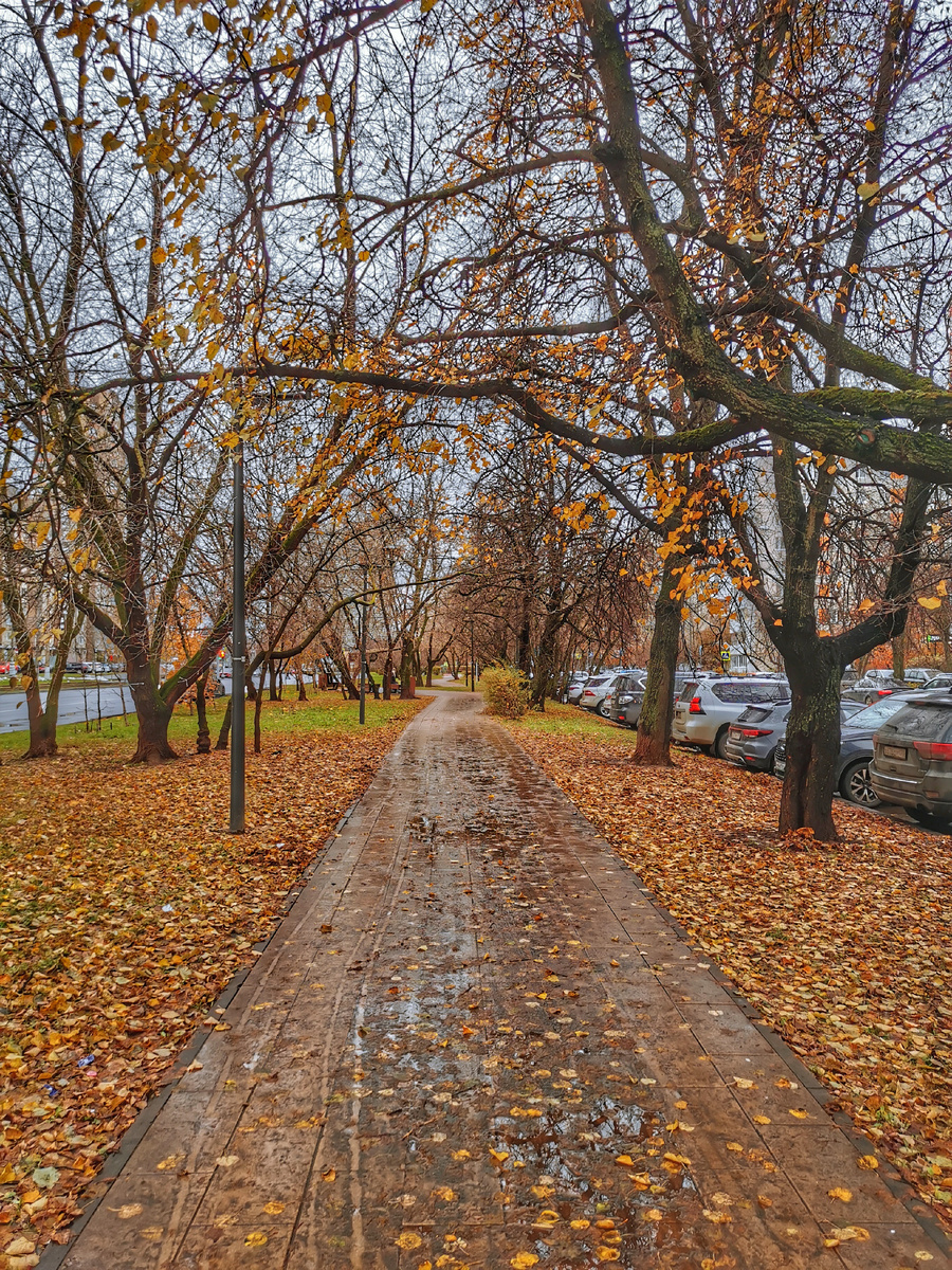 Осенняя дорожка вдоль улицы Героев Панфиловцев.
