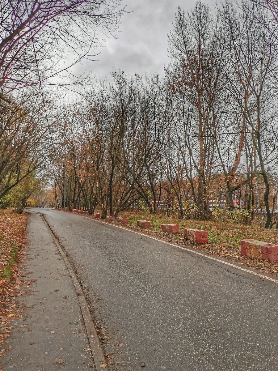 Полесский проезд. Через деревья просматривается поезд МЦД.