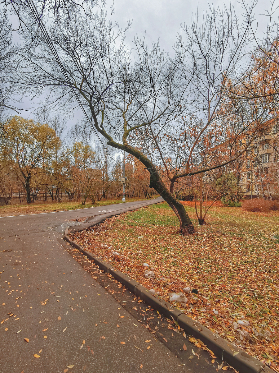 Полесский проезд.