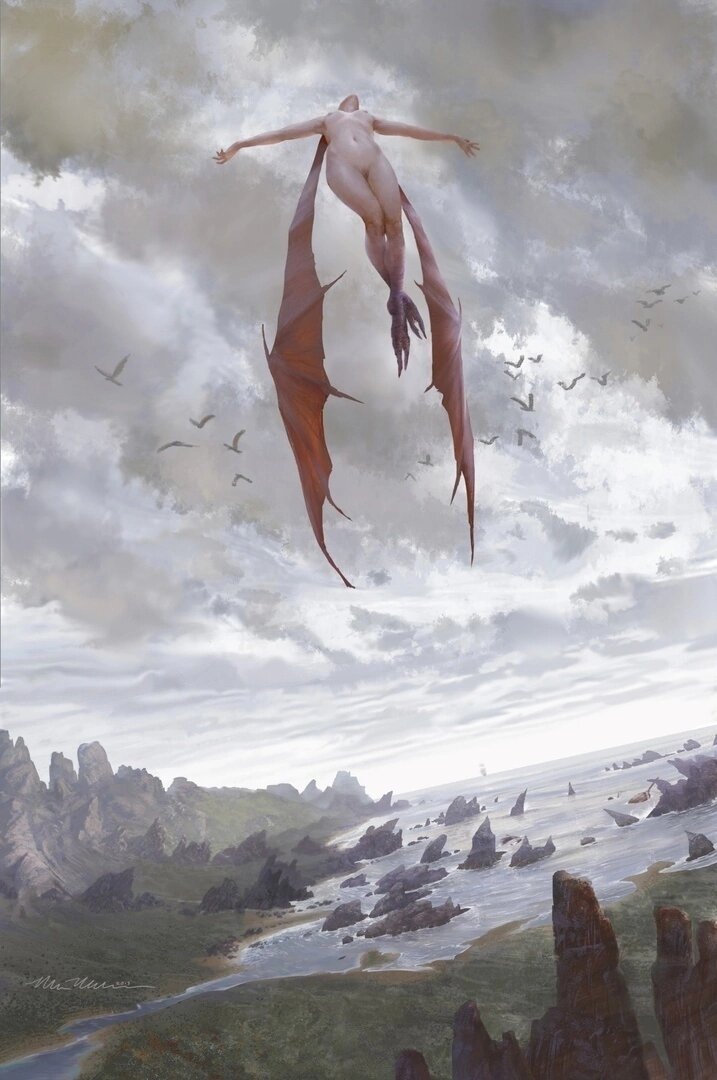 Изображение из интернета 