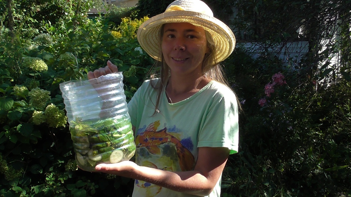 Источник: moigektar.ru