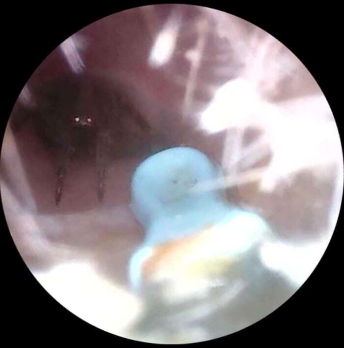 Источник: Feedora69/reddit