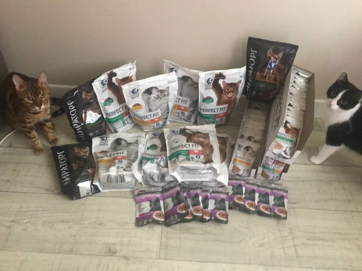 Пандора и Соня поучаствовали в фотосессии.   