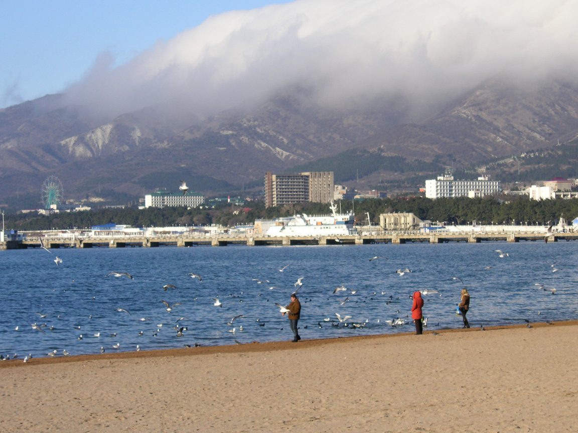 Геленджик. Авторство: Mithgol the Webmaster. Файл фотографии загружен в Википедию непосредственно автором, CC BY-SA 3.0, https://commons.wikimedia.org/w/index.php?curid=562453