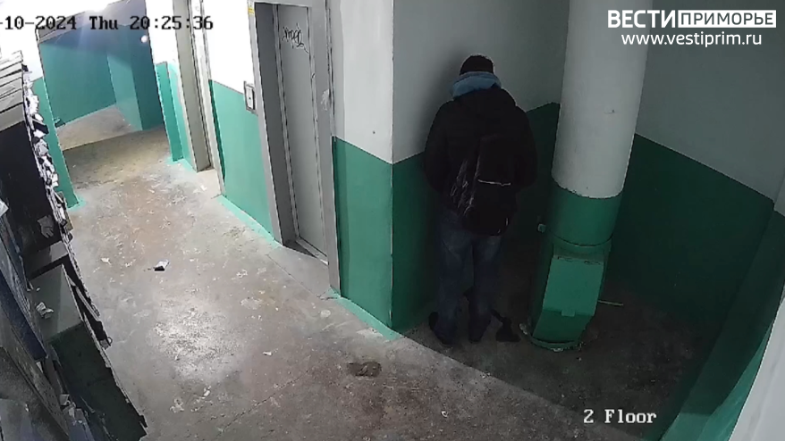    Источник фото: