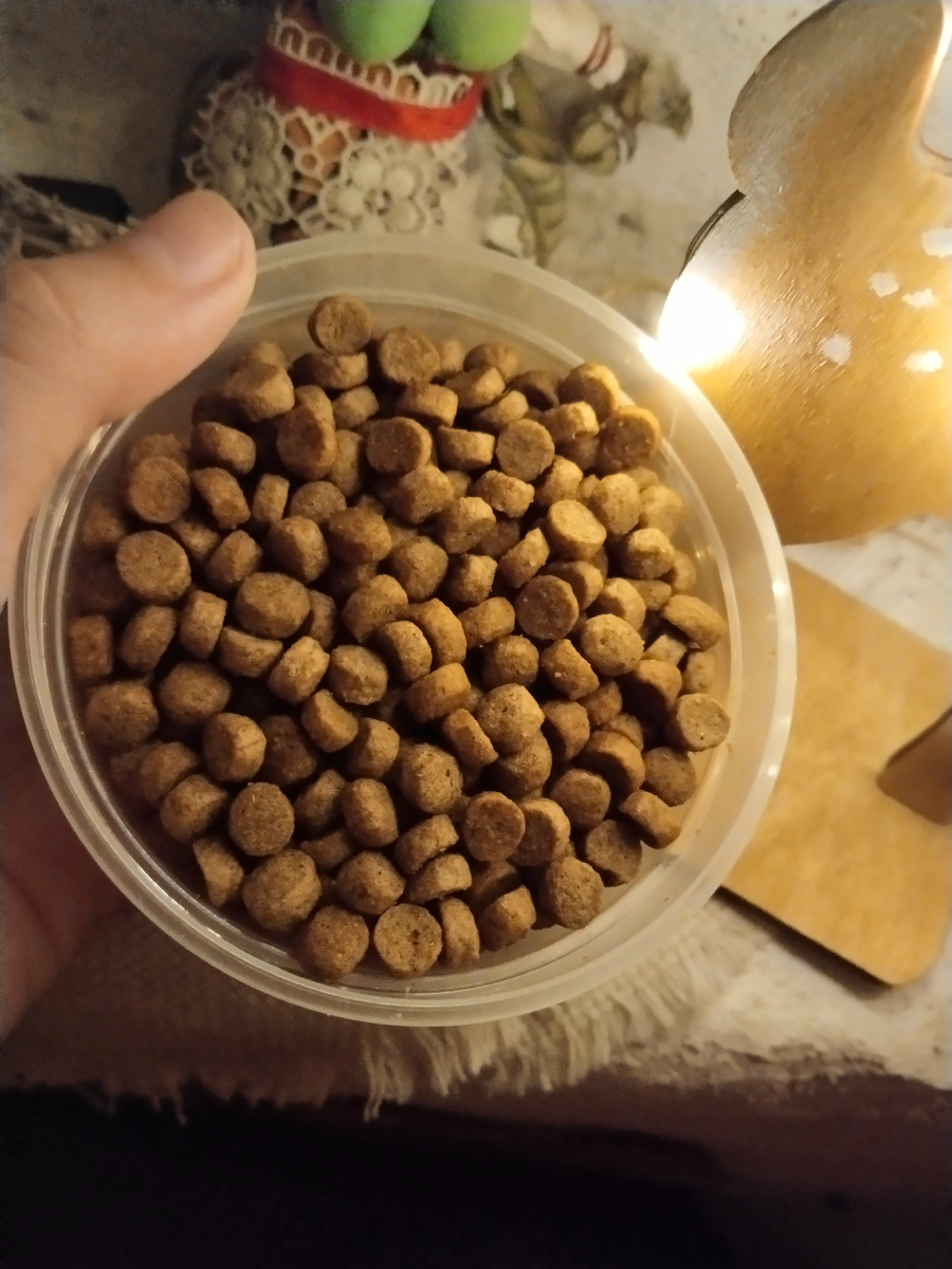 Наши новые вкусняшки для занятий 😋