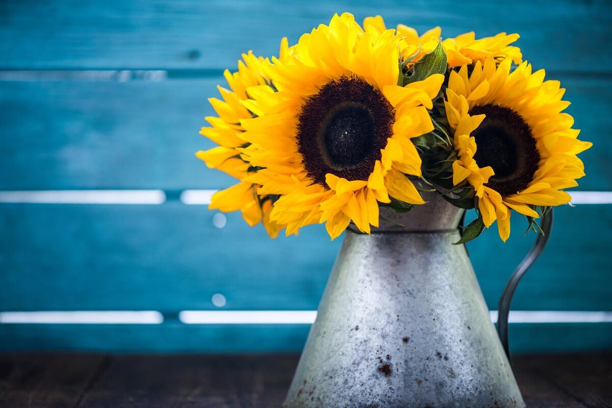     123RF/legion-media.ru