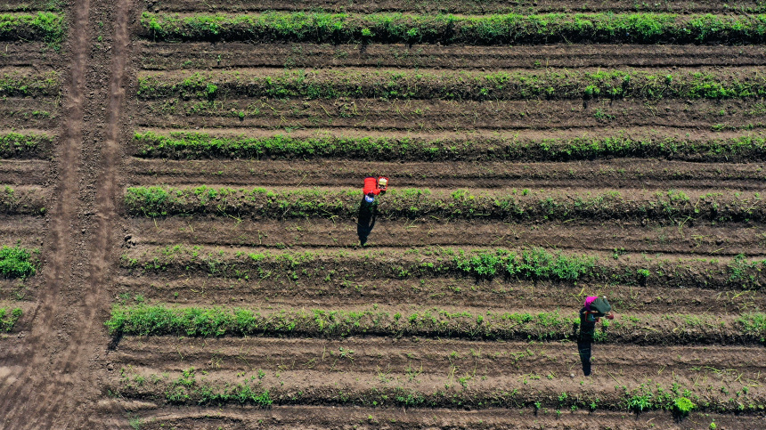    Фото: © РИА Новости/Денис Абрамов