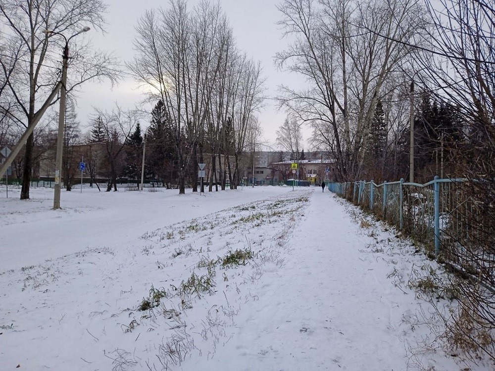    8 ноября 2024 года. Фото Анны Зубаревой