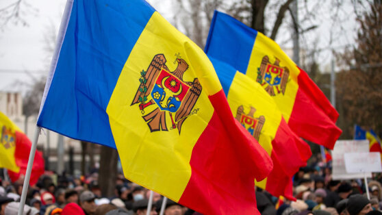    В Молдавии несогласные с итогами выборов президента пикетируют ЦИК Алина Городниченко