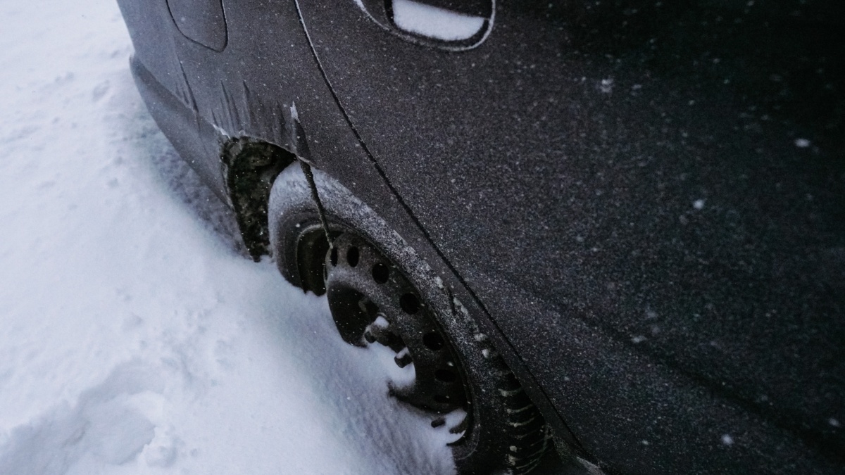 Светлана Мулыкина📷
